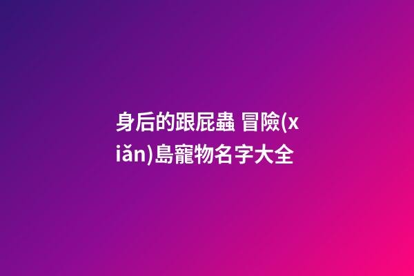 身后的跟屁蟲 冒險(xiǎn)島寵物名字大全